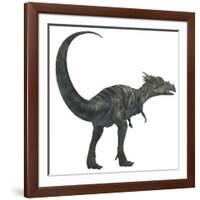 Dracorex Dinosaur from the Cretaceous Period-Stocktrek Images-Framed Art Print