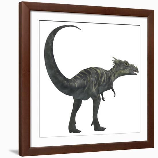 Dracorex Dinosaur from the Cretaceous Period-Stocktrek Images-Framed Art Print