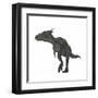 Dracorex Dinosaur-Stocktrek Images-Framed Art Print