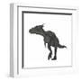 Dracorex Dinosaur-Stocktrek Images-Framed Art Print