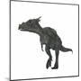 Dracorex Dinosaur-Stocktrek Images-Mounted Art Print