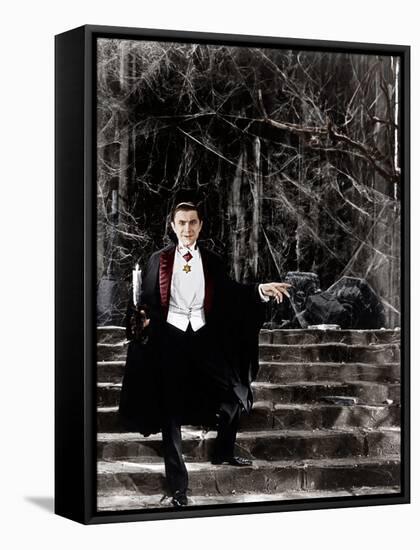 Dracula, Bela Lugosi, 1931-null-Framed Stretched Canvas