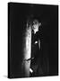 Dracula, Bela Lugosi, 1931-null-Stretched Canvas