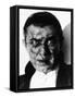 Dracula, Bela Lugosi, 1931-null-Framed Stretched Canvas