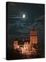 Dracula Castle at Night, Bran Castle, Transylvania, Romania-Russell Young-Stretched Canvas