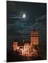 Dracula Castle at Night, Bran Castle, Transylvania, Romania-Russell Young-Mounted Photographic Print