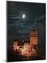 Dracula Castle at Night, Bran Castle, Transylvania, Romania-Russell Young-Mounted Photographic Print