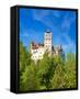 Canvas Black
