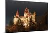 Dracula Castle Transylvania-null-Mounted Art Print