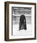 Dracula: Prince of Darkness-null-Framed Photo