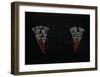 Dracula-null-Framed Giclee Print