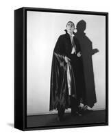 Dracula-null-Framed Stretched Canvas