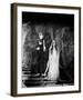 Dracula-null-Framed Photo