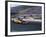 Drag Racing, Denver, Colorado, USA-null-Framed Photographic Print