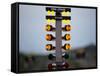 Drag Racing Starting Christmas Lights-null-Framed Stretched Canvas