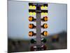 Drag Racing Starting Christmas Lights-null-Mounted Photographic Print