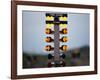 Drag Racing Starting Christmas Lights-null-Framed Photographic Print