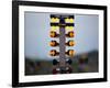 Drag Racing Starting Christmas Lights-null-Framed Photographic Print