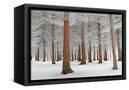 Canvas Black