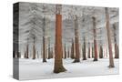 Stretched Canvas