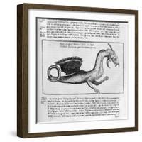 Dragon, 1678-Athanasius Kircher-Framed Giclee Print