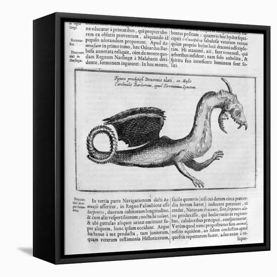 Dragon, 1678-Athanasius Kircher-Framed Stretched Canvas