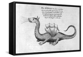 Dragon, 1678-Athanasius Kircher-Framed Stretched Canvas