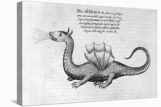 Dragon, 1678-Athanasius Kircher-Stretched Canvas