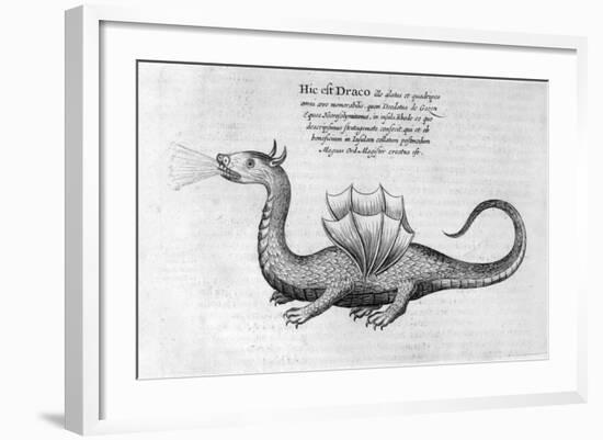 Dragon, 1678-Athanasius Kircher-Framed Giclee Print