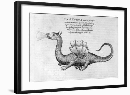 Dragon, 1678-Athanasius Kircher-Framed Giclee Print