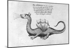 Dragon, 1678-Athanasius Kircher-Mounted Giclee Print