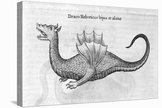 Dragon, 1678-Athanasius Kircher-Stretched Canvas