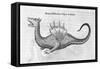 Dragon, 1678-Athanasius Kircher-Framed Stretched Canvas