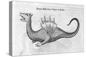 Dragon, 1678-Athanasius Kircher-Stretched Canvas