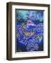 Dragon 2-Martin Nasim-Framed Giclee Print