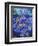 Dragon 2-Martin Nasim-Framed Giclee Print