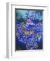 Dragon 2-Martin Nasim-Framed Giclee Print