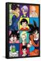 Dragon Ball Z - Grid-Trends International-Framed Poster