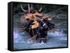 Dragon Boat Race at Miao People's Festival, China-Keren Su-Framed Stretched Canvas
