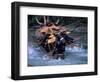 Dragon Boat Race at Miao People's Festival, China-Keren Su-Framed Photographic Print