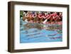 Dragon Boat-oceanfishing-Framed Photographic Print