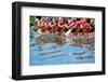 Dragon Boat-oceanfishing-Framed Photographic Print