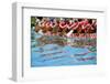 Dragon Boat-oceanfishing-Framed Photographic Print