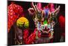 Dragon Dance Celebrating Chinese New Year in China Town, Manila, Philippines-Keren Su-Mounted Photographic Print