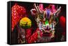 Dragon Dance Celebrating Chinese New Year in China Town, Manila, Philippines-Keren Su-Framed Stretched Canvas