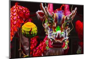 Dragon Dance Celebrating Chinese New Year in China Town, Manila, Philippines-Keren Su-Mounted Photographic Print