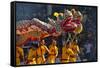 Dragon Dance Performance Celebrating Chinese New Year, City of Iloilo, Philippines-Keren Su-Framed Stretched Canvas