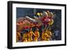 Dragon Dance Performance Celebrating Chinese New Year, City of Iloilo, Philippines-Keren Su-Framed Photographic Print