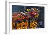 Dragon Dance Performance Celebrating Chinese New Year, City of Iloilo, Philippines-Keren Su-Framed Photographic Print