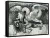 Dragon Fighting a Lion-Andrea Zoan-Framed Stretched Canvas